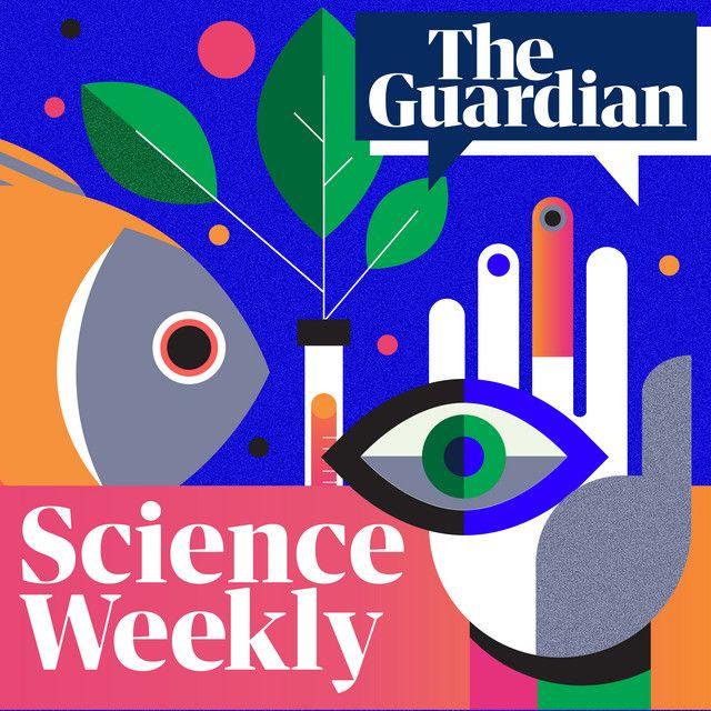 Podcast Image